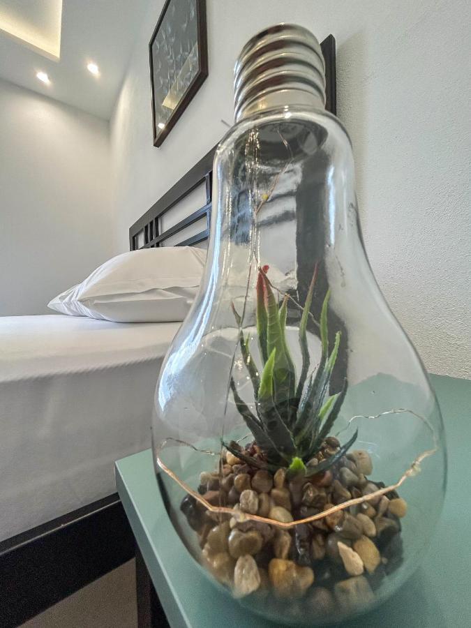 Sunset Apartment Kotor Dış mekan fotoğraf